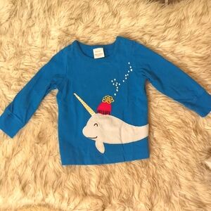 Hanna Andersson Narwal shirt